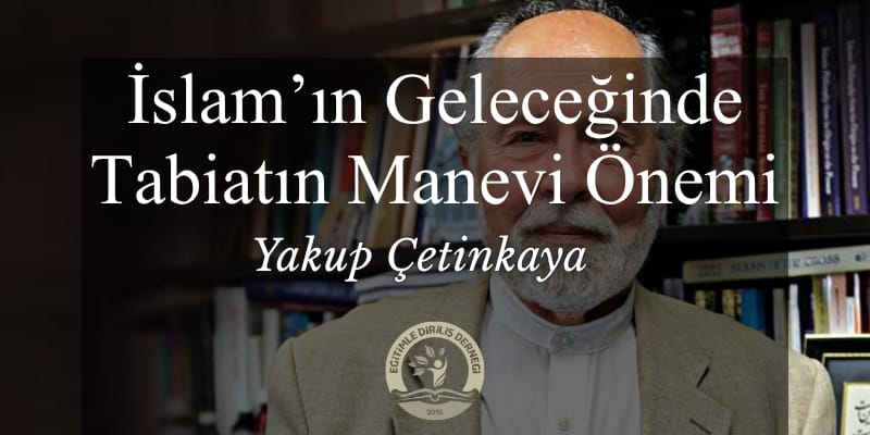 İSLAM GELENEĞİNDE TABİATIN MANEVİ ÖNEMİ - Yakup ÇETİNKAYA